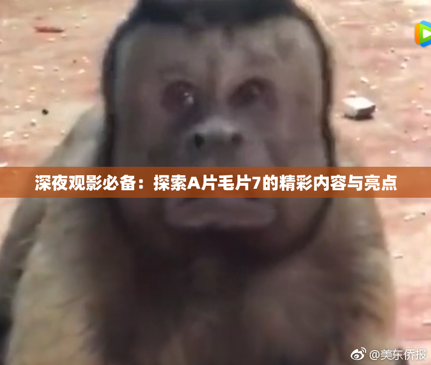 深夜观影必备：探索A片毛片7的精彩内容与亮点