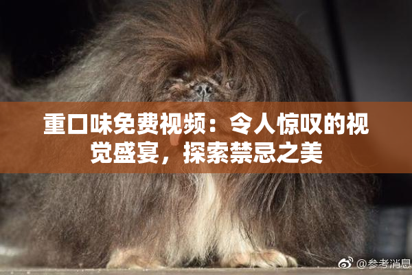 重口味免费视频：令人惊叹的视觉盛宴，探索禁忌之美