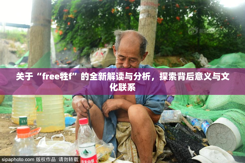 关于“free牲f”的全新解读与分析，探索背后意义与文化联系