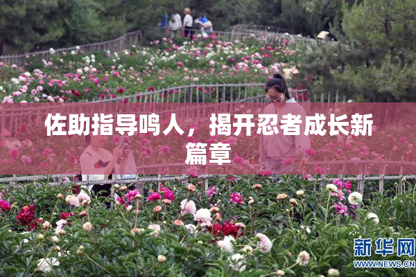 佐助指导鸣人，揭开忍者成长新篇章