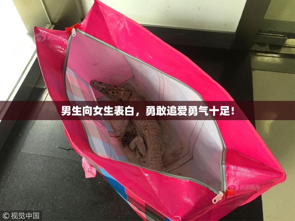 男生向女生表白，勇敢追爱勇气十足！