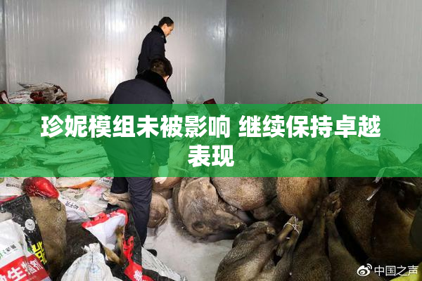 珍妮模组未被影响 继续保持卓越表现