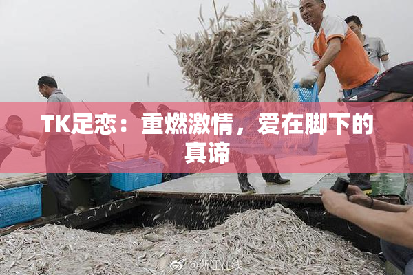 TK足恋：重燃激情，爱在脚下的真谛