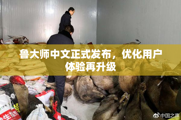鲁大师中文正式发布，优化用户体验再升级