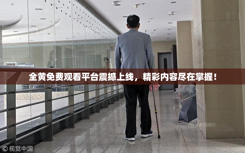 全黄免费观看平台震撼上线，精彩内容尽在掌握！