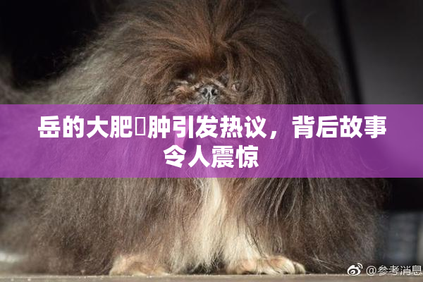 岳的大肥坹肿引发热议，背后故事令人震惊