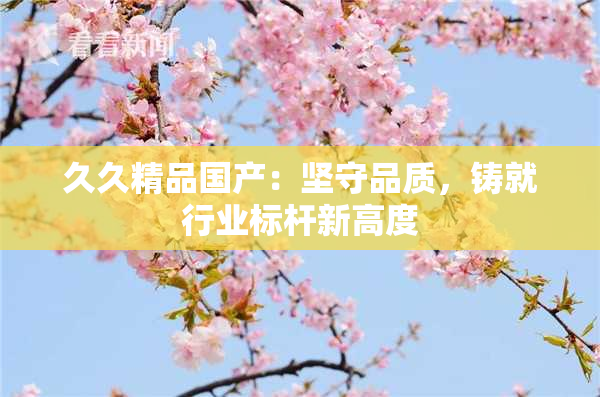 久久精品国产：坚守品质，铸就行业标杆新高度