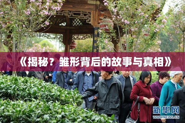 《揭秘？雏形背后的故事与真相》