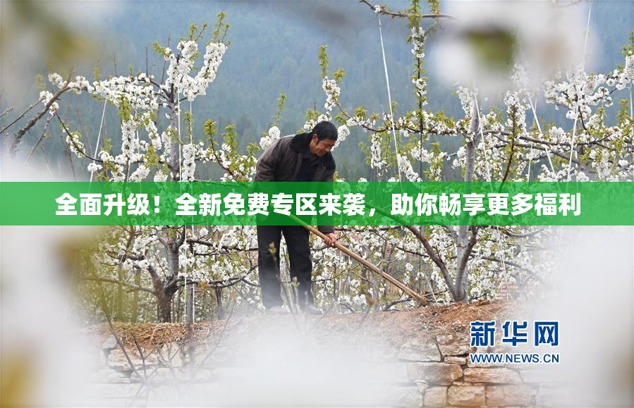 全面升级！全新免费专区来袭，助你畅享更多福利