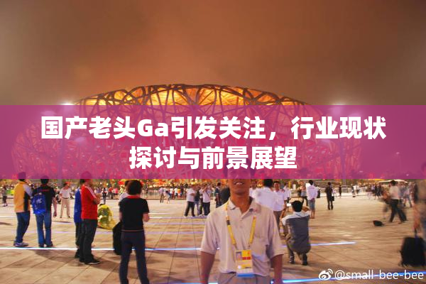 国产老头Ga引发关注，行业现状探讨与前景展望