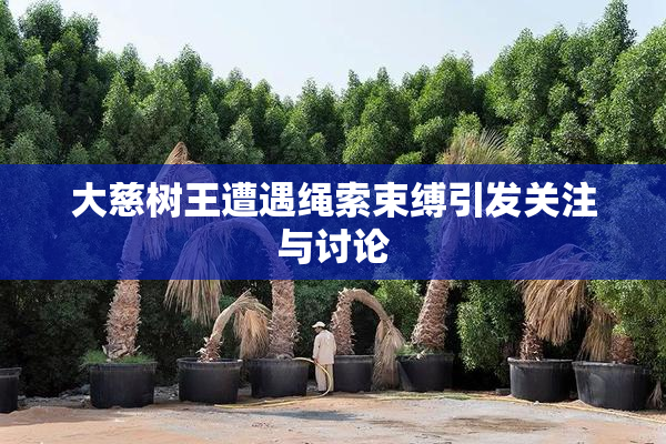大慈树王遭遇绳索束缚引发关注与讨论