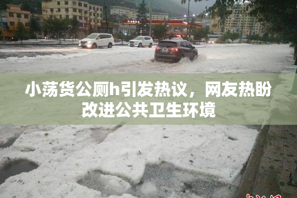小荡货公厕h引发热议，网友热盼改进公共卫生环境