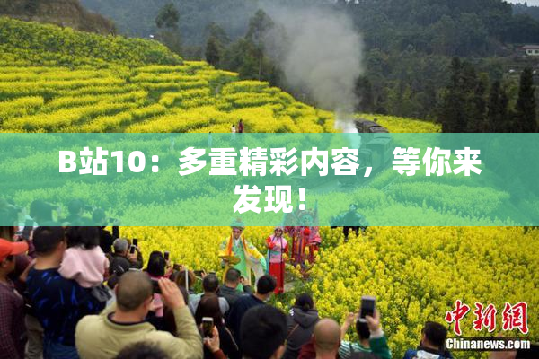 B站10：多重精彩内容，等你来发现！
