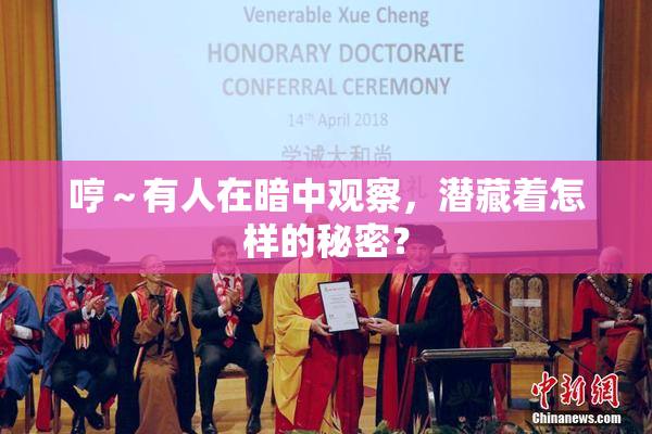 哼～有人在暗中观察，潜藏着怎样的秘密？