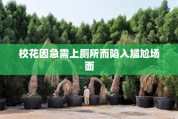 校花因急需上厕所而陷入尴尬场面
