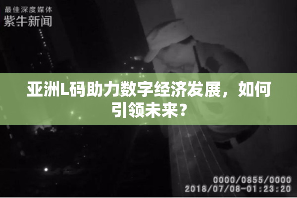 亚洲L码助力数字经济发展，如何引领未来？