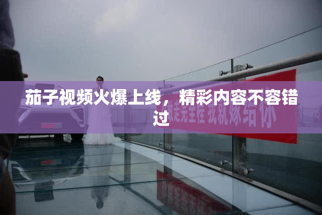 茄子视频火爆上线，精彩内容不容错过