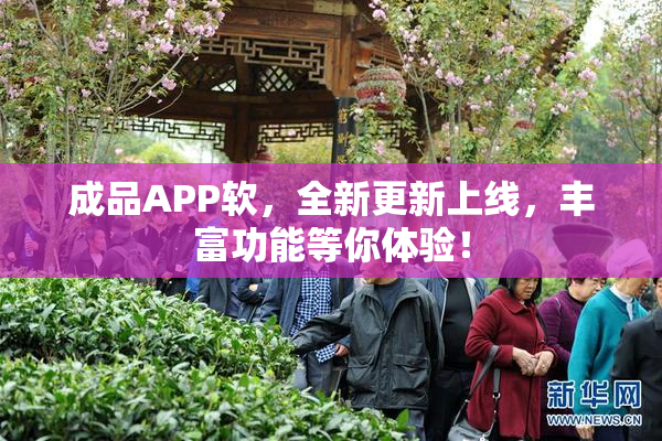 成品APP软，全新更新上线，丰富功能等你体验！