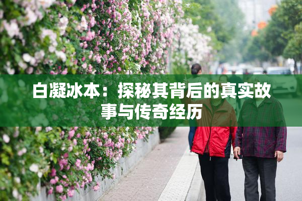 白凝冰本：探秘其背后的真实故事与传奇经历