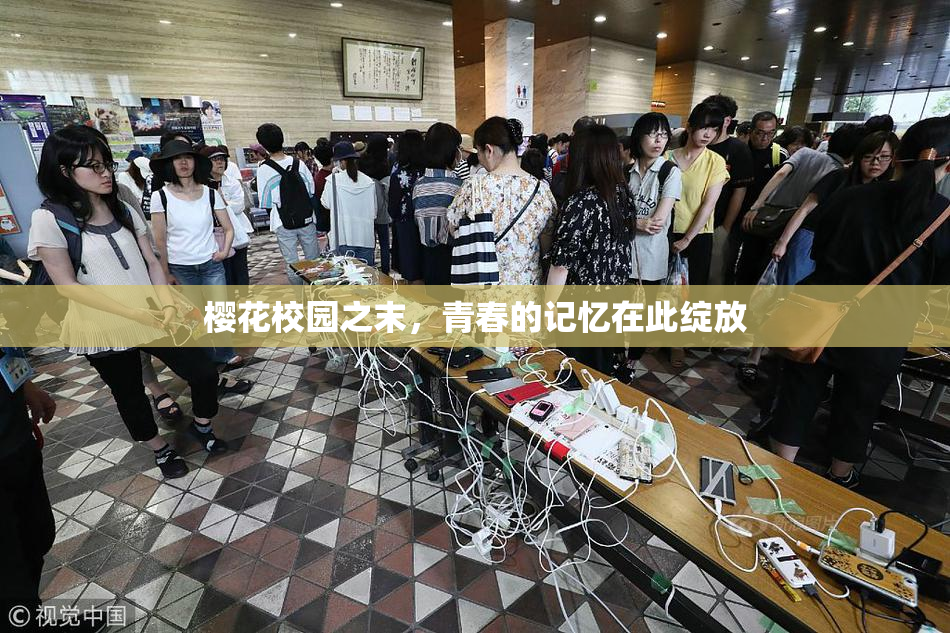 樱花校园之末，青春的记忆在此绽放
