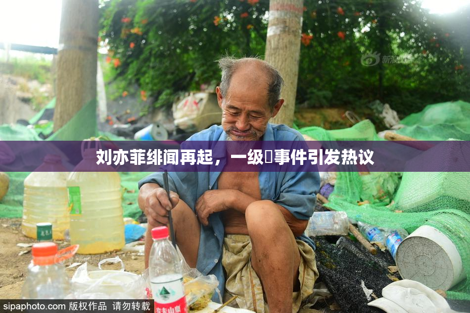 刘亦菲绯闻再起，一级婬事件引发热议