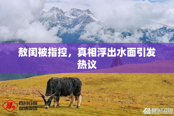 敖闰被指控，真相浮出水面引发热议