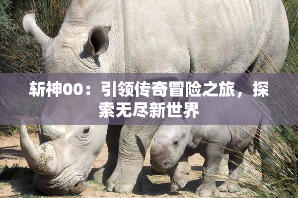 斩神00：引领传奇冒险之旅，探索无尽新世界