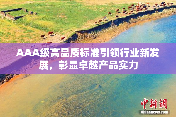 AAA级高品质标准引领行业新发展，彰显卓越产品实力