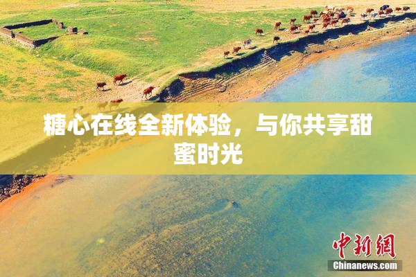 糖心在线全新体验，与你共享甜蜜时光