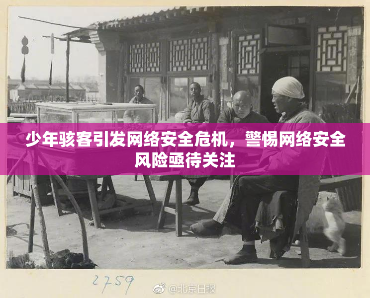 少年骇客引发网络安全危机，警惕网络安全风险亟待关注