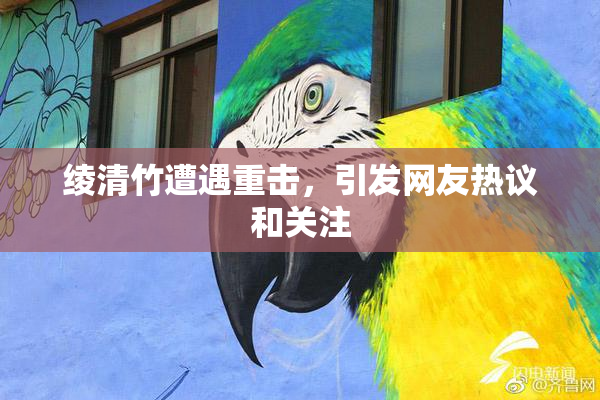 绫清竹遭遇重击，引发网友热议和关注