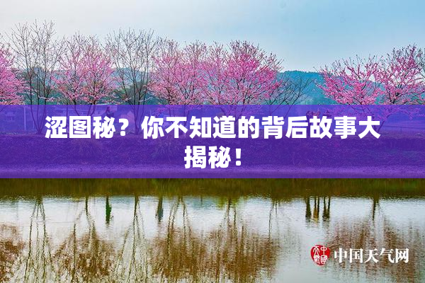涩图秘？你不知道的背后故事大揭秘！