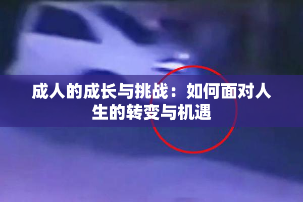 成人的成长与挑战：如何面对人生的转变与机遇