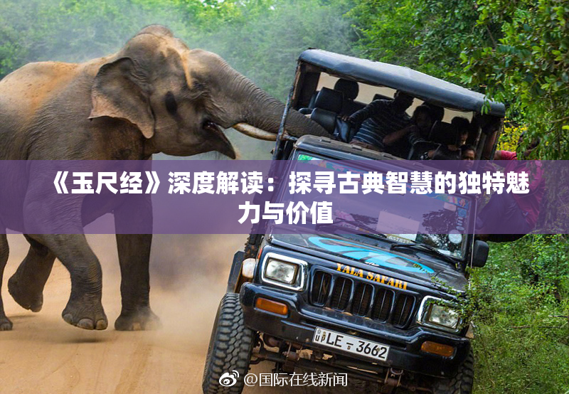 《玉尺经》深度解读：探寻古典智慧的独特魅力与价值