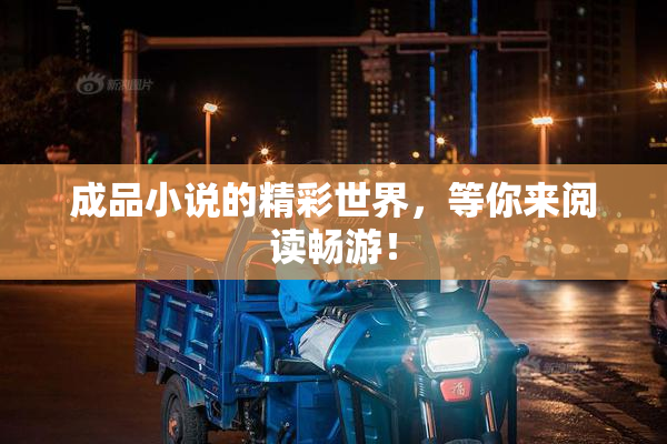 成品小说的精彩世界，等你来阅读畅游！
