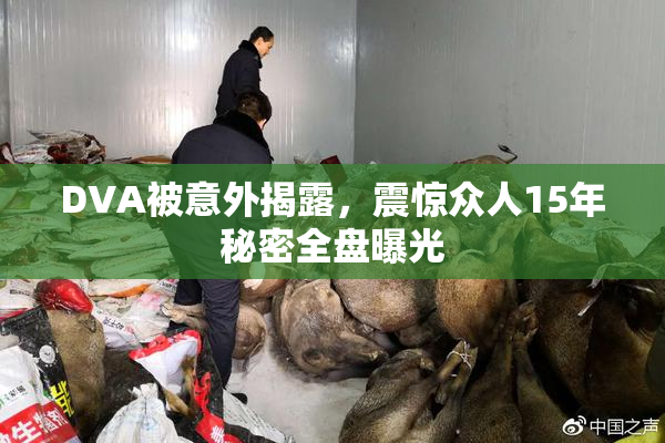 DVA被意外揭露，震惊众人15年秘密全盘曝光