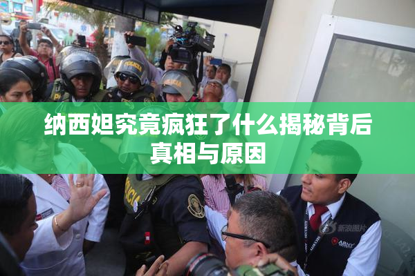 纳西妲究竟疯狂了什么揭秘背后真相与原因