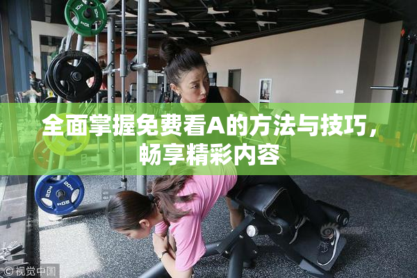 全面掌握免费看A的方法与技巧，畅享精彩内容