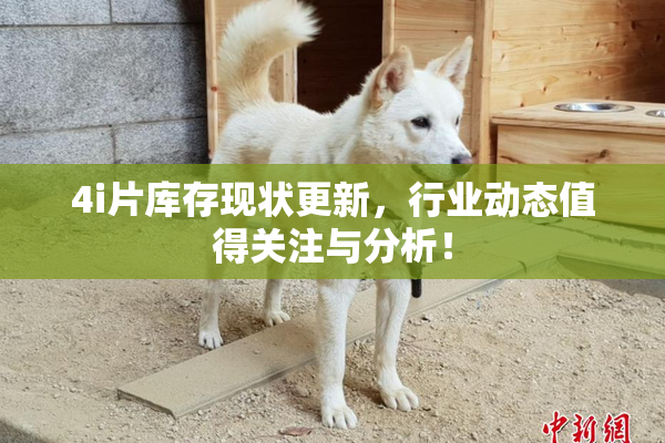 4i片库存现状更新，行业动态值得关注与分析！