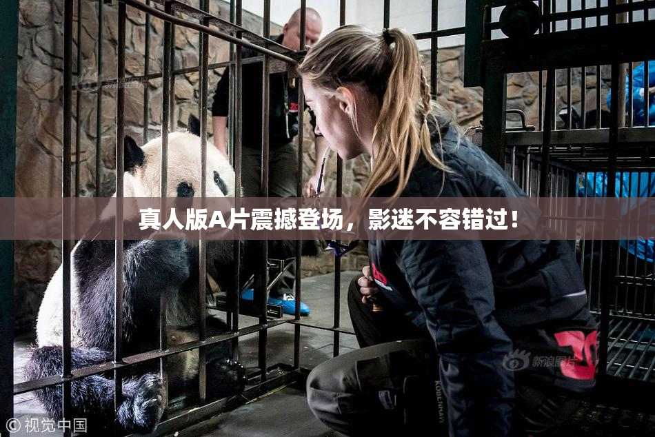 真人版A片震撼登场，影迷不容错过！