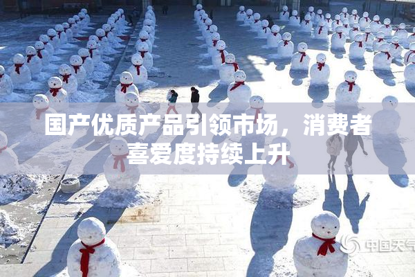 国产优质产品引领市场，消费者喜爱度持续上升