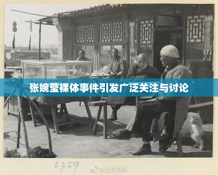 张婉莹裸体事件引发广泛关注与讨论