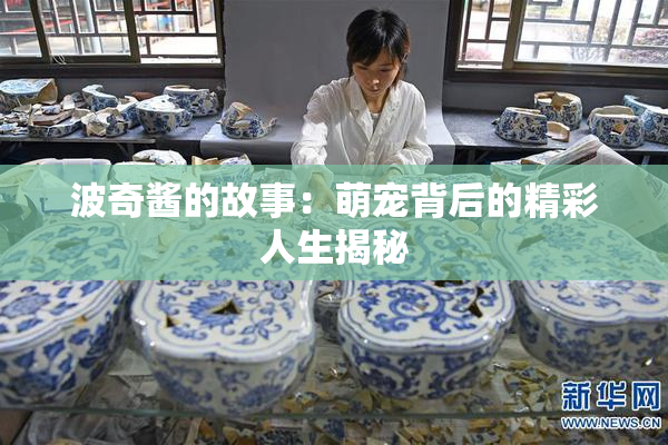 波奇酱的故事：萌宠背后的精彩人生揭秘