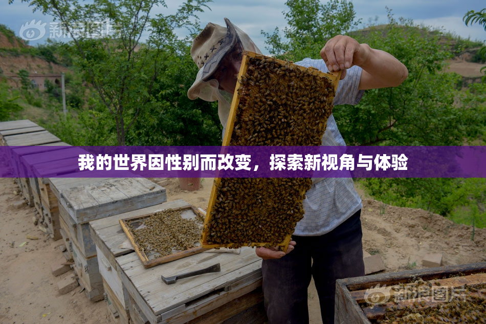 我的世界因性别而改变，探索新视角与体验