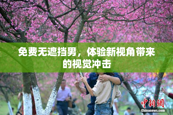 免费无遮挡男，体验新视角带来的视觉冲击