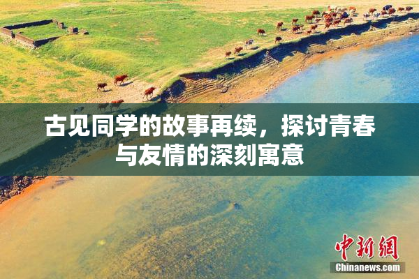 古见同学的故事再续，探讨青春与友情的深刻寓意