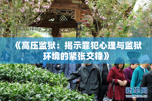 《高压监狱：揭示罪犯心理与监狱环境的紧张交锋》