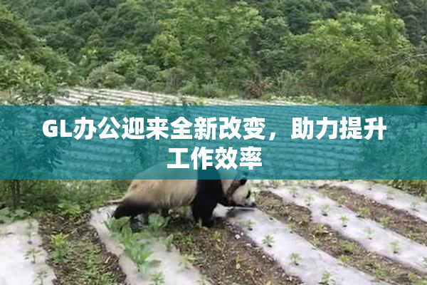 GL办公迎来全新改变，助力提升工作效率