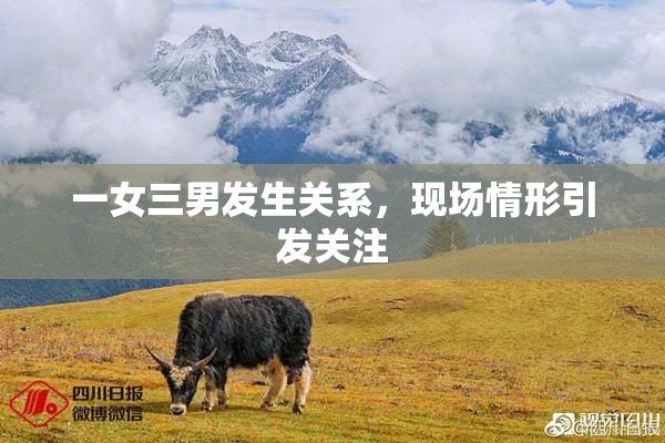 一女三男发生关系，现场情形引发关注