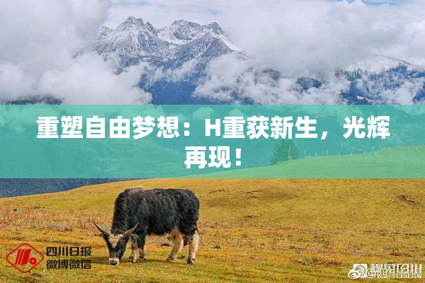重塑自由梦想：H重获新生，光辉再现！